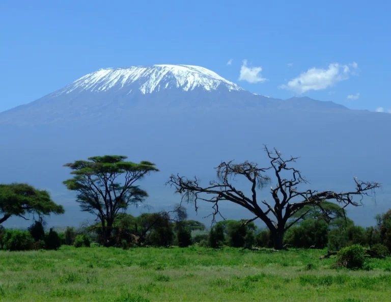 Mountain Kilimanjaro