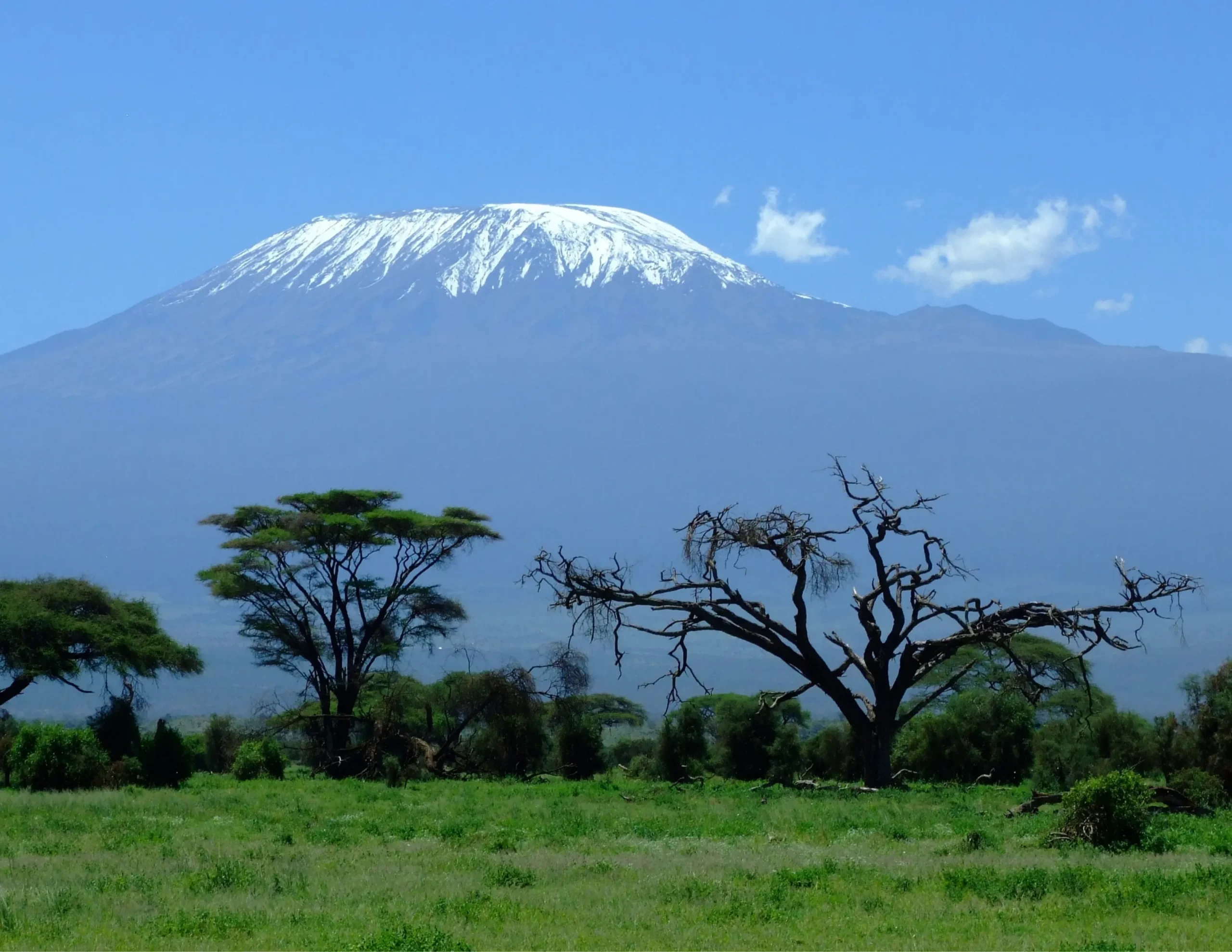 Mountain Kilimanjaro